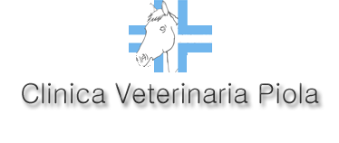 Clinica Veterinaria Piola